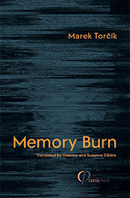 Cover of Memory Burn